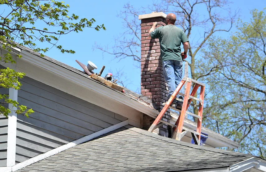Chimney & Fireplace Inspections Services in Park Forest, IL